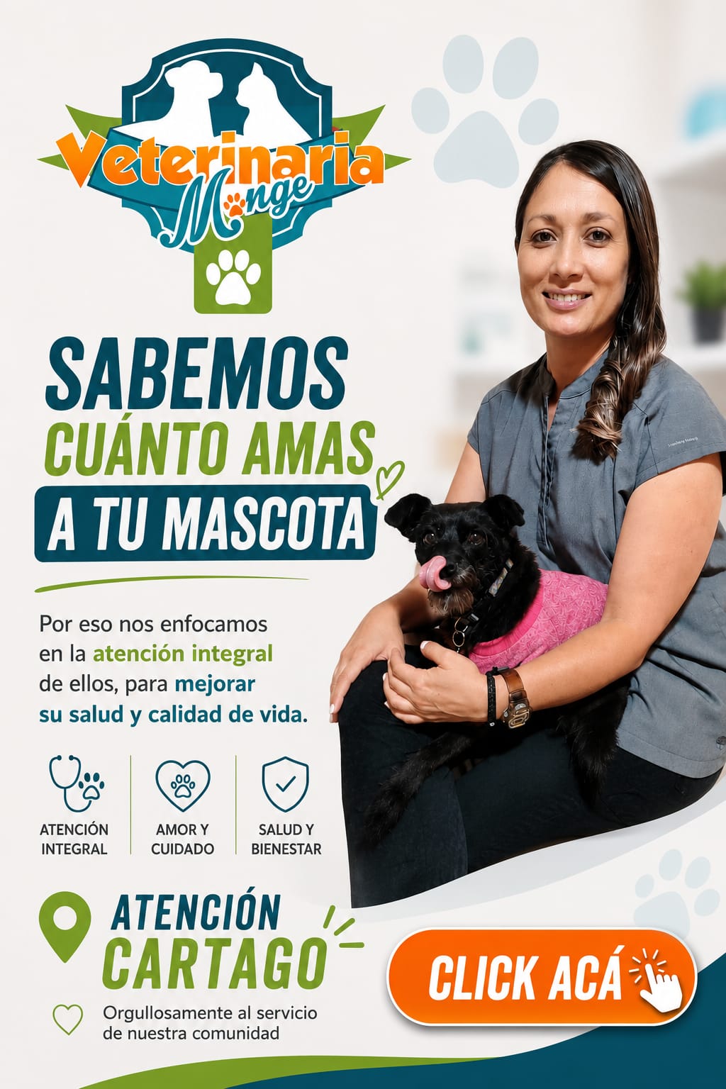 Veterinaria Monge 2