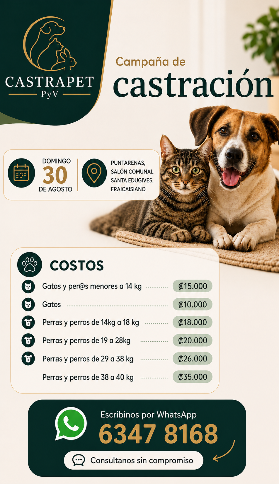 Castra Pet 2